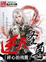 小说《逆天圣尊》全文免费阅读-锤石文学