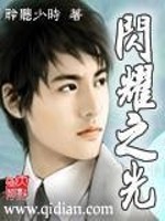 闪耀之光免费阅读