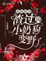 已完结小说《满级甜诱！渣过的小奶狗变野了》在线全文阅读