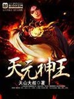 天元神王全文在线阅读，天元神王小说免费版-优文网