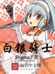 白银骑士全文在线阅读，白银骑士小说免费版-优文网