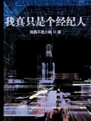 何易小说叫什么（我真只是个经纪人免费阅读）-优文网