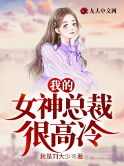 小说《我的女神总裁很高冷》全文免费阅读