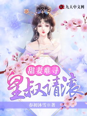 甜妻难寻，皇叔请滚柳婵衣顾璋小说笔趣阁-优文网
