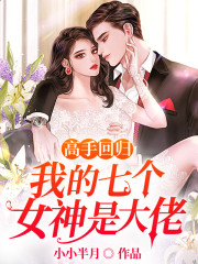 高手回归：我的七个女神是大佬主角叶峰蒋丽小说完整版全文在线阅读-经典文学