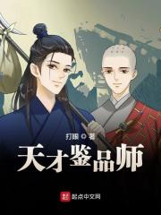 小说《天才鉴品师》在线全文阅读-瑞奇文学