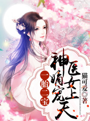 《一胎二宝：神医嫡女宠上天》小说全文在线试读，《一胎二宝：神医嫡女宠上天》最新章节目录-优文网