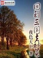 小说《回到三国去种菜》全文免费阅读-锤石文学