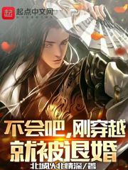 不会吧，刚穿越就被退婚杨治建康公主小说在线章节目录阅读最新章节-优文网