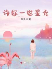 许你一世星光免费阅读，许你一世星光时繁星封云霆