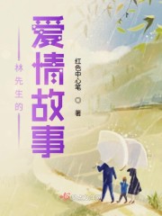 小说《林先生的爱情故事》全文免费阅读-锤石文学