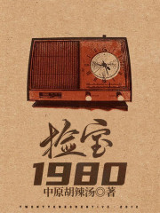 主人公张婉茹林雷小说捡宝1980在线全文阅读-优文网