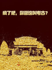疯了吧，你管这叫考古？叶辰，疯了吧，你管这叫考古？txt下载无弹窗笔趣阁-瑞奇文学