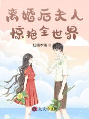 小说《离婚后夫人惊艳全世界》全文免费阅读-优文网
