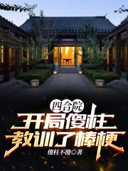 《四合院：开局傻柱教训了棒梗！》小说章节列表免费试读，何雨柱秦淮茹小说在线阅读-优文网