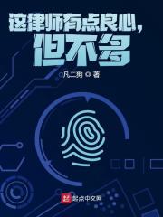 小说《都市：从律师开始》在线全文阅读-优文网