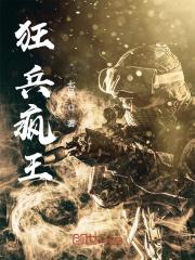 小说《狂兵疯王》全文阅读