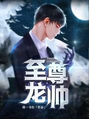 主角叫叶辰易如雪小说至尊龙帅全文免费阅读-优文网