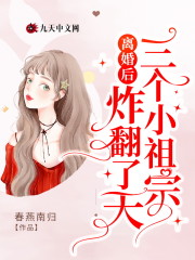 《离婚后三个小祖宗炸翻了天》小说主角沈宁厉震霆全文章节免费在线阅读