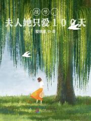 战爷，夫人她只爱100天乔憬战祁霈，战爷，夫人她只爱100天小说免费阅读-优文网