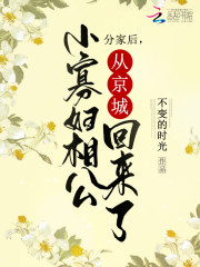 小说《分家后，小寡妇相公从京城回来了》全文免费阅读