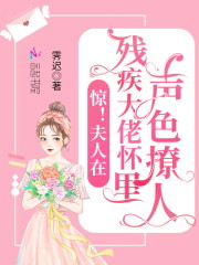 惊！夫人在残疾大佬怀里声色撩人免费阅读，惊！夫人在残疾大佬怀里声色撩人白慕辞陆沉-优文网