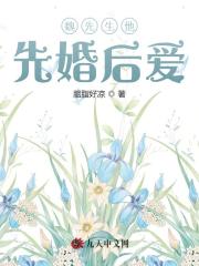 小说《魏先生他先婚后爱》在线全文阅读-书格格