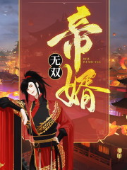 已完结小说《帝婿无双》在线全文阅读-优文网