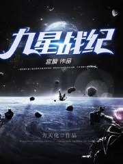 主角项天小说完整版在线阅读，九星战纪免费看-瑞奇文学