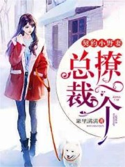 完整版《契约小野妻：总裁，撩一个》全章节阅读