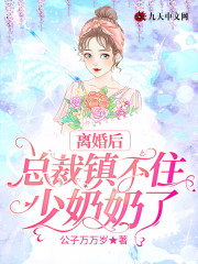 离婚后：总裁镇不住少奶奶了盛朝暮傅怀瑾，离婚后：总裁镇不住少奶奶了全文在线阅读-优文网