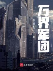 王易维小说叫什么（万界军团免费阅读）