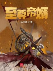 至尊帝婿小说，至尊帝婿在线阅读-优文网