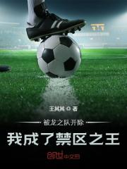 小说《被龙之队开除，我成了禁区之王》全文免费阅读-优文网
