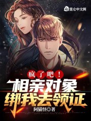 疯了吧，相亲对象绑我去领证（陆鸣林婉）在线免费阅读