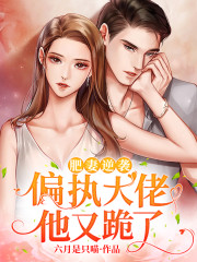 《肥妻逆袭：偏执大佬他又跪了》小说大结局免费试读 盛夏江琛寒小说-经典文学