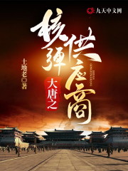 大唐之核弹供应商最新章节，大唐之核弹供应商全文在线阅读