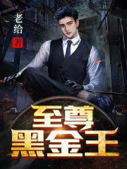 至尊黑金王全章节免费在线阅读，陆豪叶秋红完结版-优文网