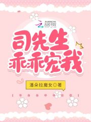 司先生乖乖宠我小说，司先生乖乖宠我免费阅读