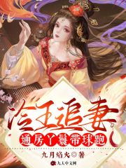 《冷王追妻：通房丫鬟带球跑》小说章节列表免费试读，林九棉君无陌小说在线阅读-书格格