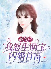 已完结小说《被渣后，我怒生萌宝闪婚了首富》全文免费阅读
