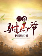冲喜驸马爷免费阅读，冲喜驸马爷全文在线阅读-优文网