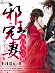 小说《邪王宠妻：无良大小姐》全文免费阅读-锤石文学