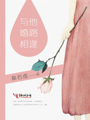 婚路相逢钟意傅泊焉，婚路相逢小说免费阅读