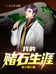 求我的赌石生涯小说免费资源