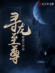 寻龙奇书免费阅读，寻龙奇书章节目录-优文网