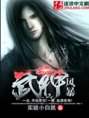 小说《武神风暴》全文免费阅读