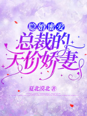 隐婚蜜爱：总裁的天价娇妻最新章节，隐婚蜜爱：总裁的天价娇妻全文在线阅读