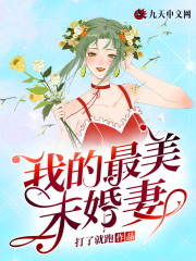 《我的最美未婚妻》全集免费在线阅读（穆霖李雪）