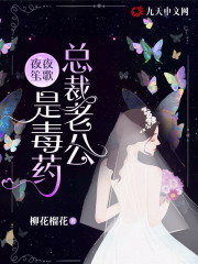 夜夜笙歌，总裁老公是毒药小说免费资源，夜夜笙歌，总裁老公是毒药在线阅读-优文网